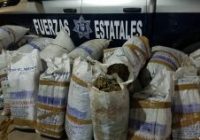 Asegura la CES en carretera Guerrero-Tomochi más de media tonelada de marihuana