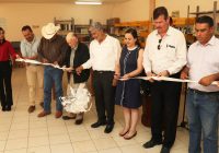 Instala Municipio equipo solar fotovoltaico en biblioteca”María Elena Rodríguez”