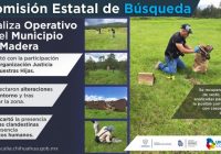 Comisión de Búsqueda realiza operativo de personas desaparecidas en el Municipio de Madera