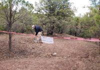 Comisión de Búsqueda de Chihuahua asegura restos óseos en Cuauhtémoc