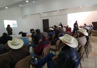 Conforma Desarrollo Rural de Cuauhtémoc, Consejo de Productores de Frijol