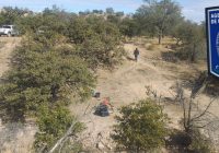 Reanuda FGE rastreo en Rancho Dolores, municipio de Cuauhtémoc