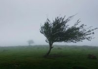 Ráfagas de viento de hasta 105 km/hr en Namiquipa y Riva Palacio