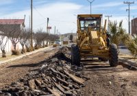 Inicia pavimentación en La Ciudadela con inversión de 3.3 mdp, en Cuauhtémoc