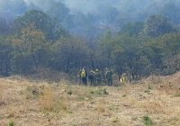 Se consumieron 110 hectáreas de sierra en incendio en Malpaso