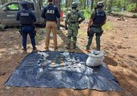 Destruye SSPE supuesto campamento del crimen organizado en Madera