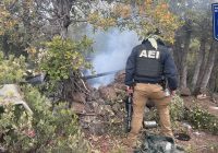 En operativo de búsqueda de persona, destruyen campamento utilizado por grupos criminales en Madera