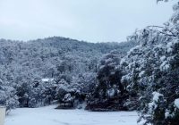 Reporta CEPC caída de nieve en 3 municipios ante el desplazamiento de la Novena Tormenta Invernal